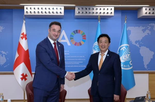 Georgia, FAO expand Cooperation for Sustainable Agriculture