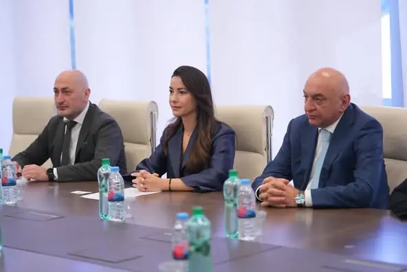 Georgia, IMO Strengthen Maritime Ties