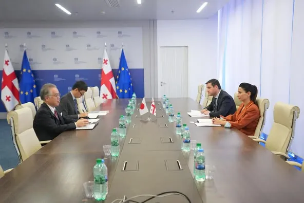 Georgia, Japan Explore Stronger Trade Ties and Direct Flights