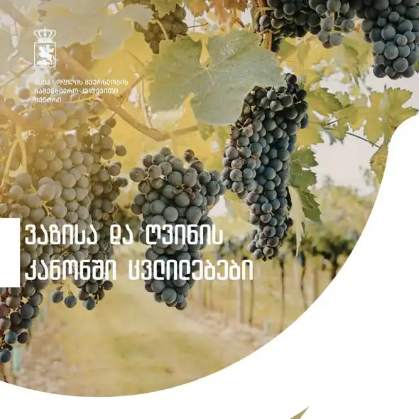 Georgia introduces new regulations for vineyards and wine sector