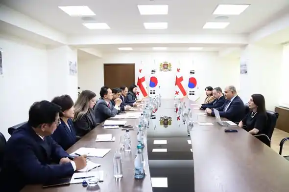 Georgia, South Korea discuss support for IDPs