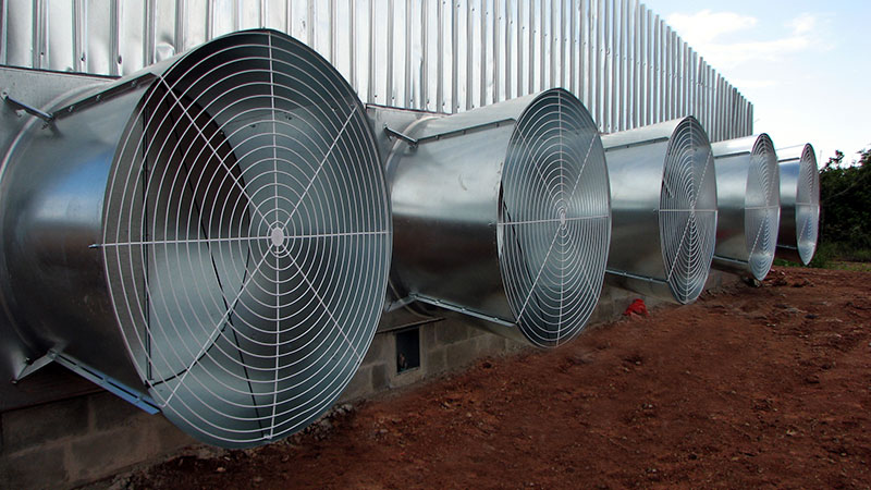 Agricultural Ventilation Fans
