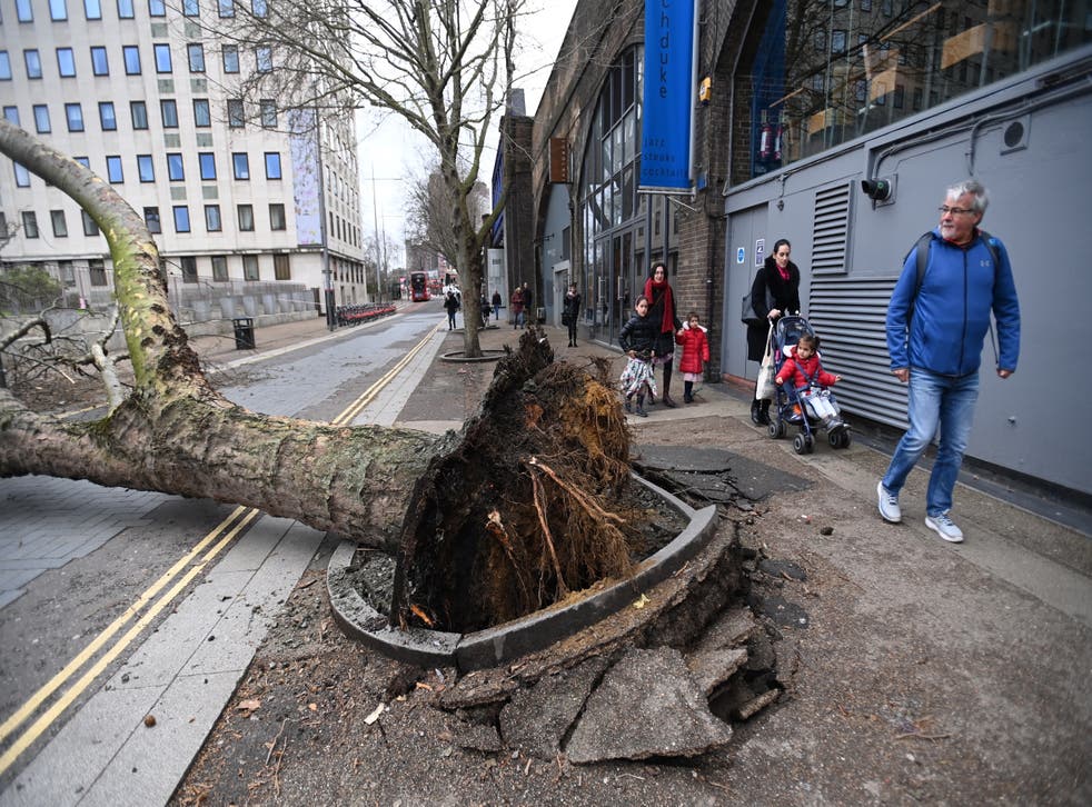 UK: Rooftops and trees blew off due to storm Eunice