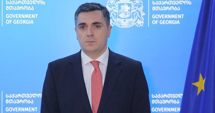 Georgia appoints new Foreign Minister