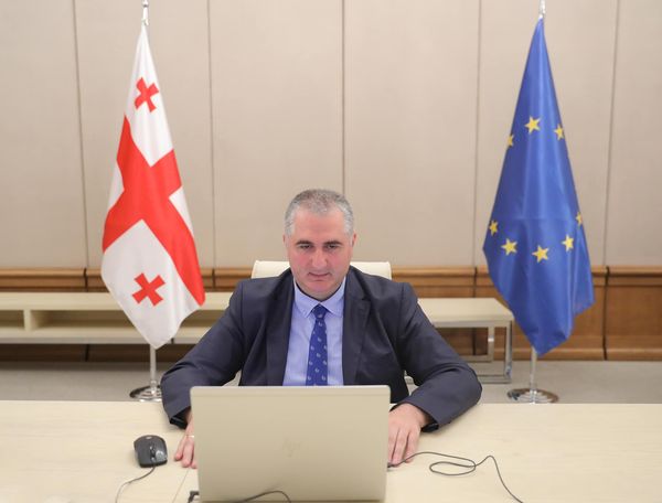 Georgian Finance Minister Lasha Khutsishvili holds virtual meeting with Elena Flores