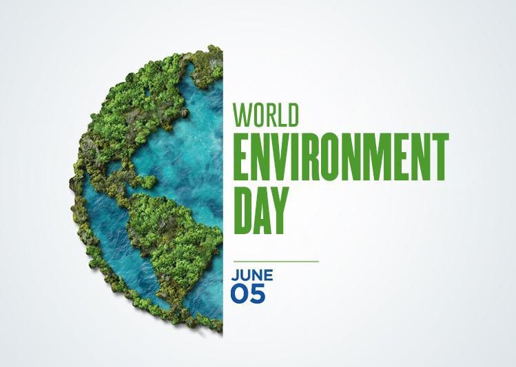 World Environment Day: Georgia is actively working on consistent policies to ensure healthy environment