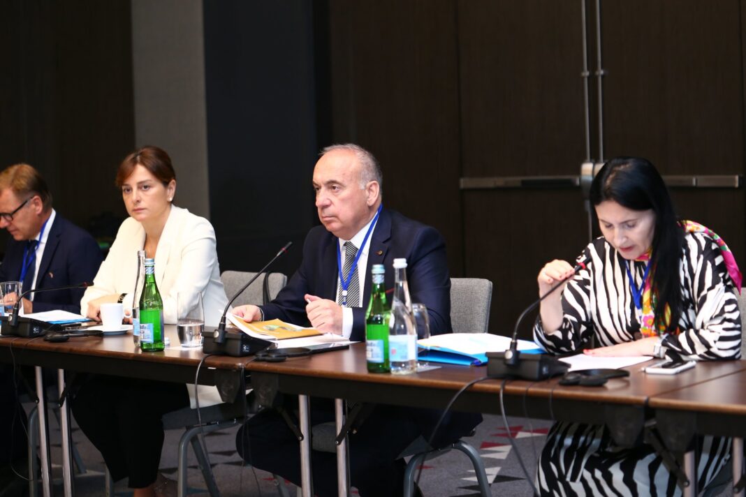 Solomon Pavliashvili takes part in fourth plenary meeting of project 