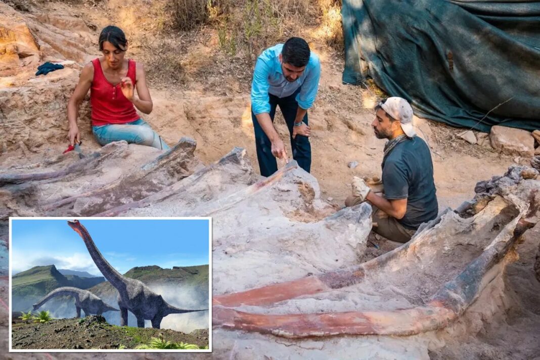Dinosaur skeleton found in Portugal man's backyard; Reports call it the largest ever