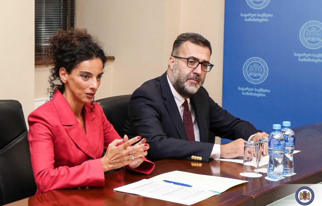 Khatuna Totladze held a meeting with members of Council of Europe delegation