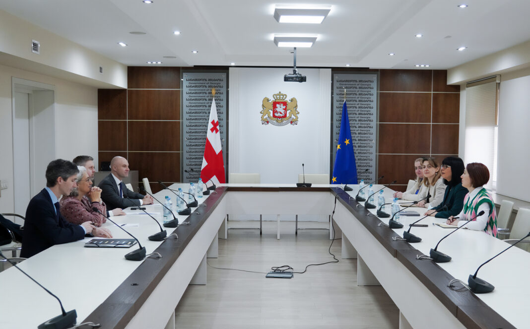 Georgia: Tea Akhvlediani meets delegation of EUTO Parliamentary Assembly Committee 