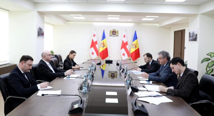 Georgia: Minsiter Zurab Azarashvili meets Vice PM of Moldova, discusses problems of Ukrainian refugees