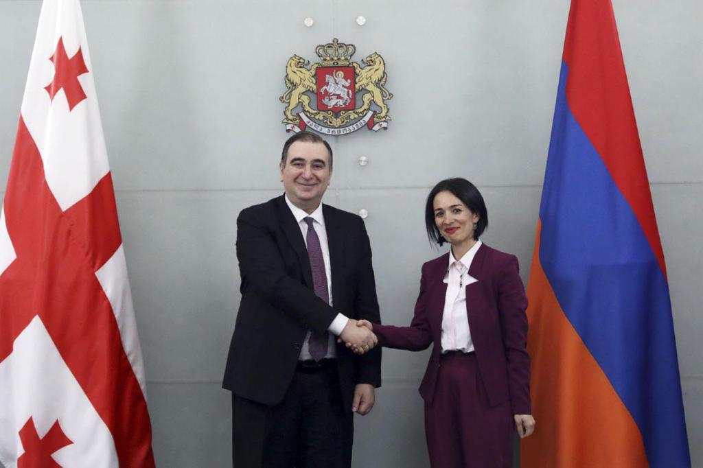 Georgia: Armenian Education Minister Zhanna Andreasyan visits Tbilisi, meets Mikheil Chkhenkeli