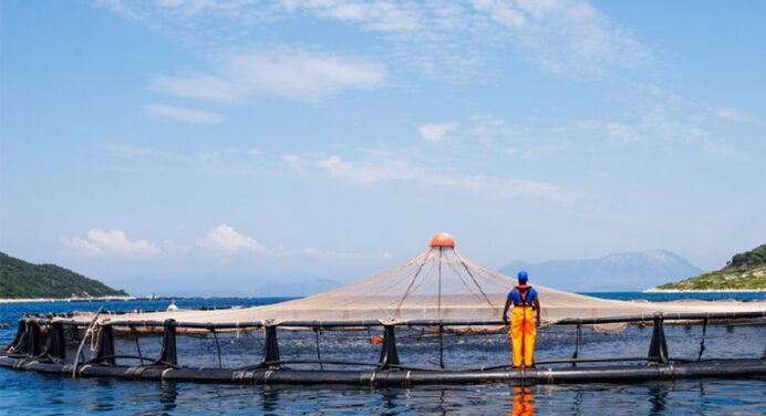 Georgia: National Environment Agency assesses law on Aquaculture