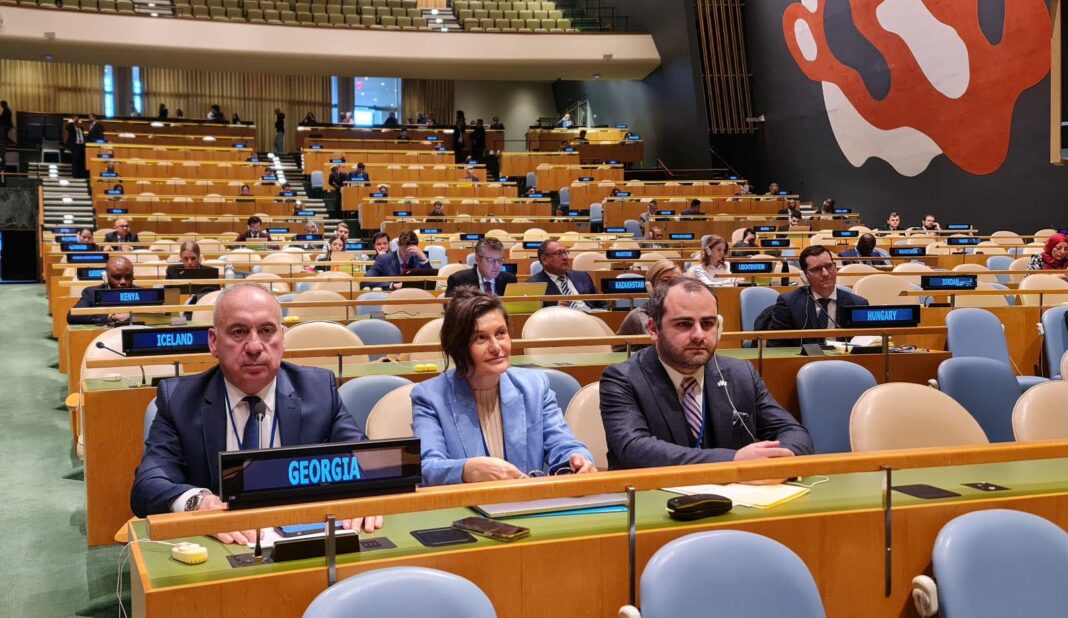 Georgia: Solomon Pavliashvili attends UNO meeting on Zero Waste Initiative