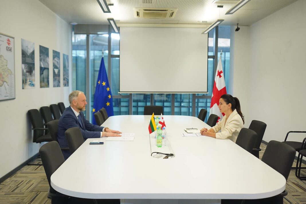 Georgia: Deputy Economy Minister Mariam Kvrivishvili meets Lithuanian Ambassador 