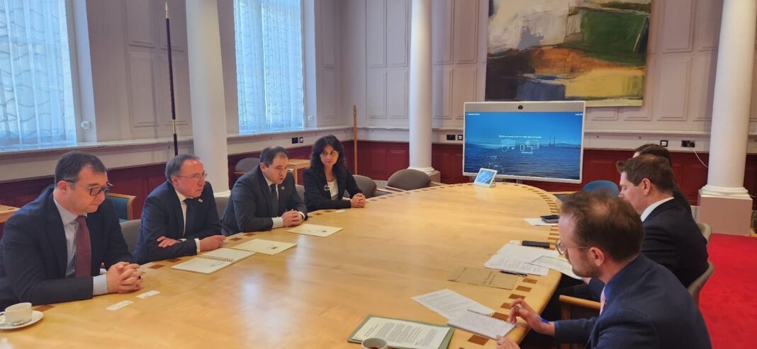 Georgian parliamentary delegation discusses opening Irish Embassy in Tbilisi 