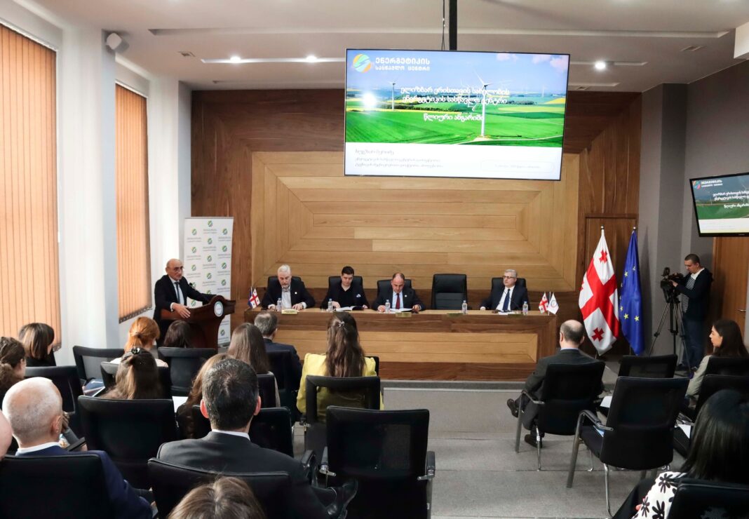 Georgia: Director Nugzar Beridze presents report of Energy Training Center near Semek