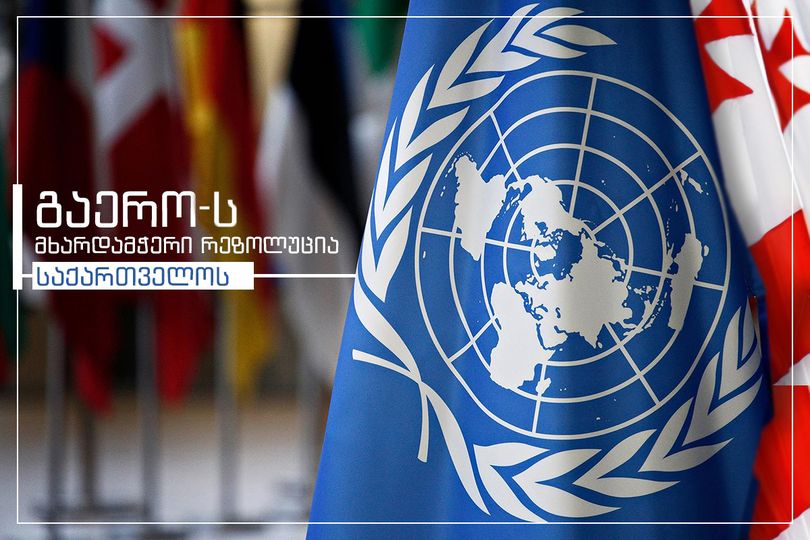 United Nations Human Rights Council adopts another resolution Cooperation with Georgia
