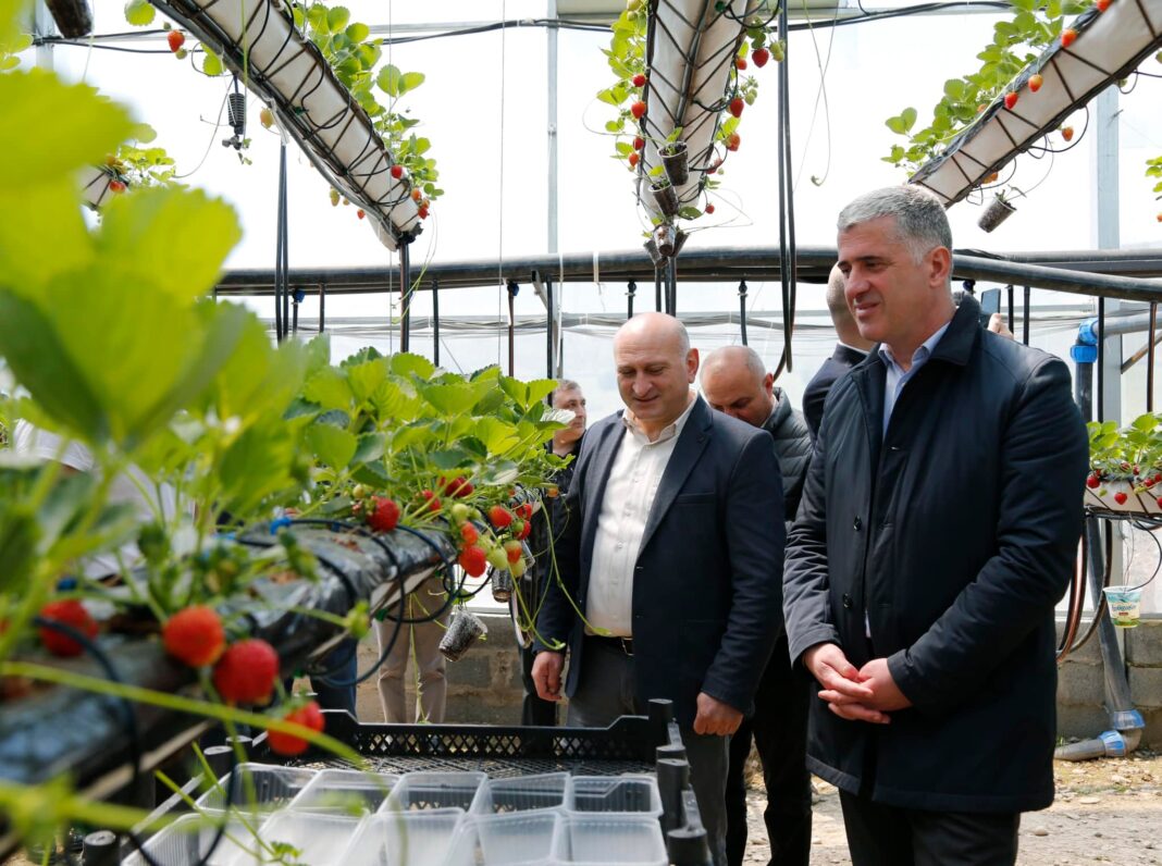 Georgia: Agriculture Minister inspects modern standards greenhouses in Changila, Kaspi