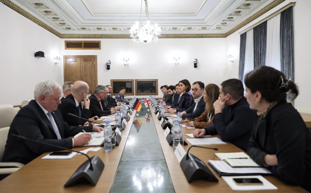 Georgia: Maka Botchorishvili meets members of Union Issues Committee of Germany's Bundestag
