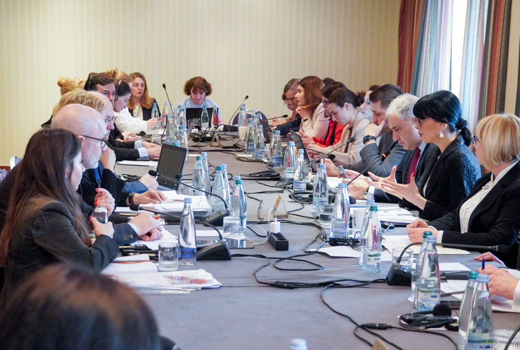 Georgia: Tea Akhvlediani meets Advisory Committee of Framework Convention on Minority Protection