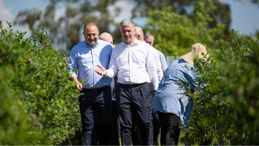 Georgia: Agriculture Minister inspects blueberry harvesting process in Zugdidi