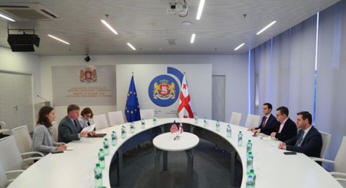 Georgia: Economy Ministry officials meet Commissioner of Economic Development of Georgia State Pat Wilson