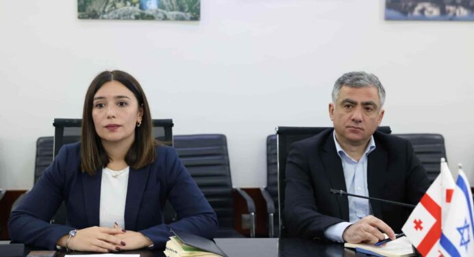 Deputy Minister Tandilashvili Meets Israeli Ambassador