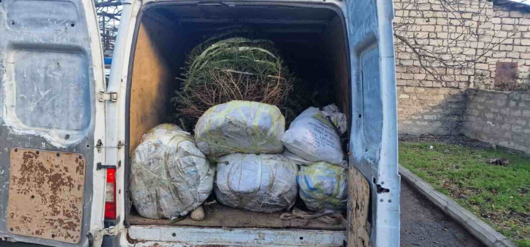 Georgia: More strict rules for the illegal Acquisition and transportation of Firewood credit:facebook