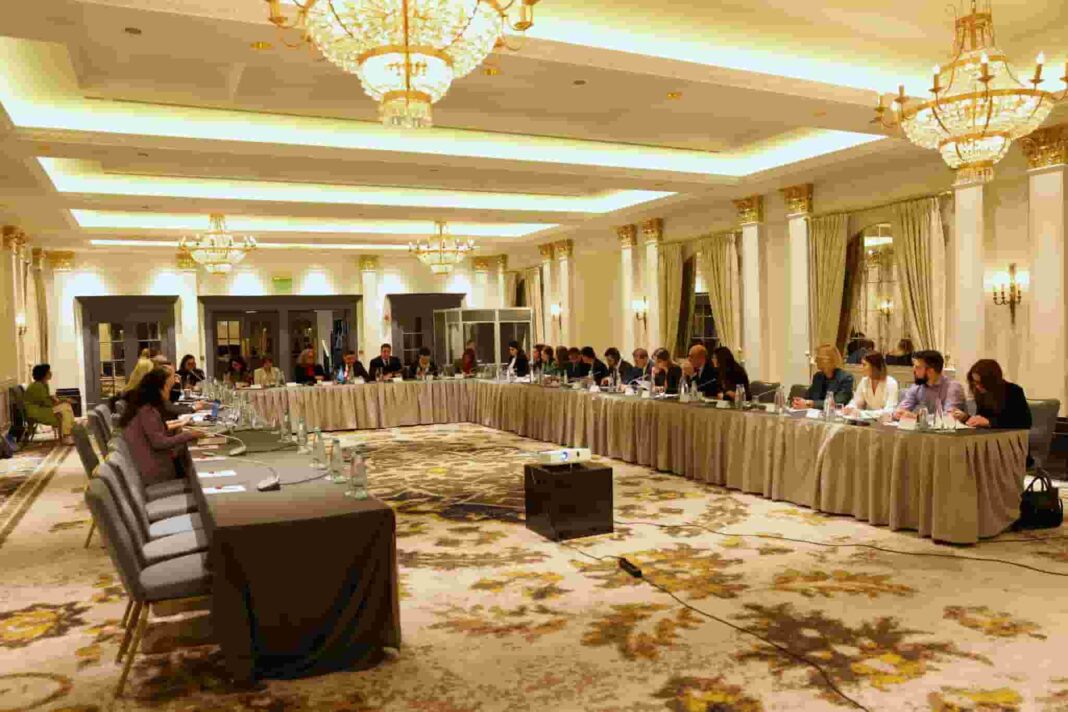 Nino Tandilashvili attends 2nd session of UNSDCF Board Meeting credit:facebook/Georgia