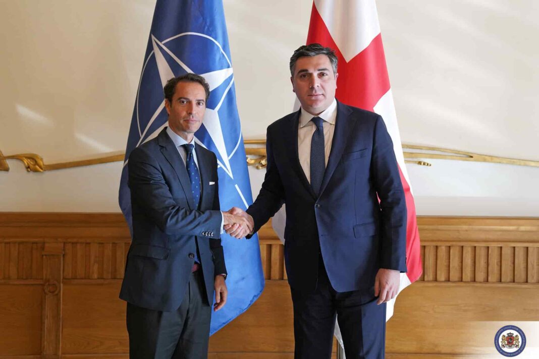 Georgia and NATO discuss cooperation and security in Vilnius meeting