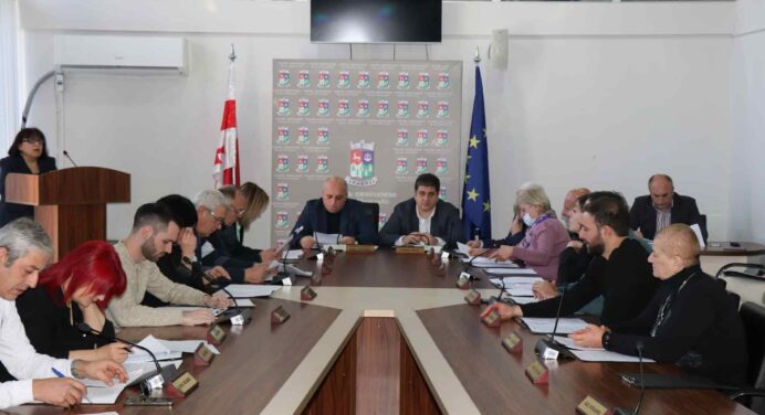 Borjomi Municipality hosts planned meeting