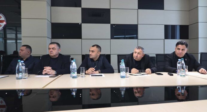 State Commissioner discuss development plans for Lower Kartli region