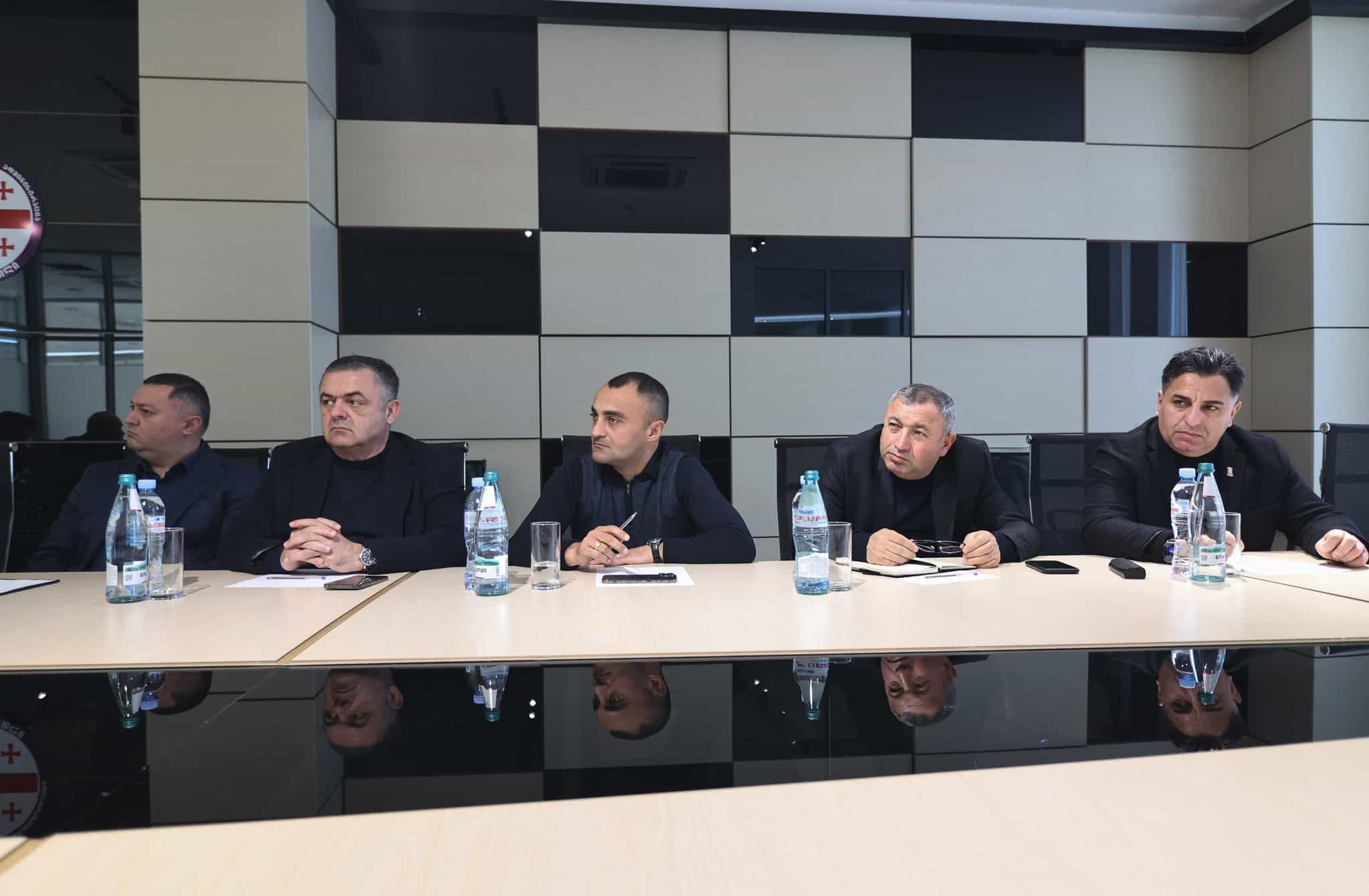 State Commissioner discuss development plans for Lower Kartli region