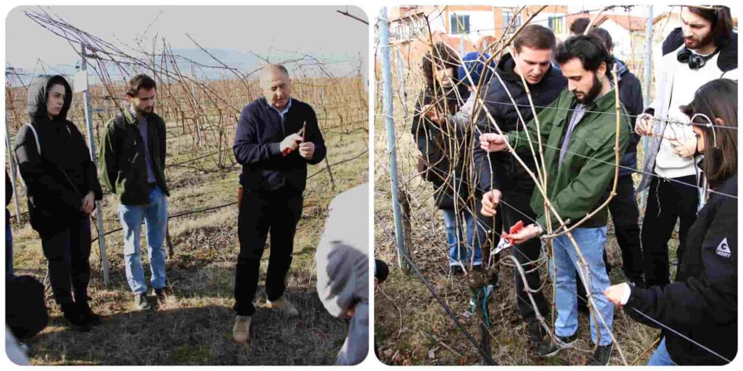 Students in Jighaura receive training in Viticulture and Agriculture