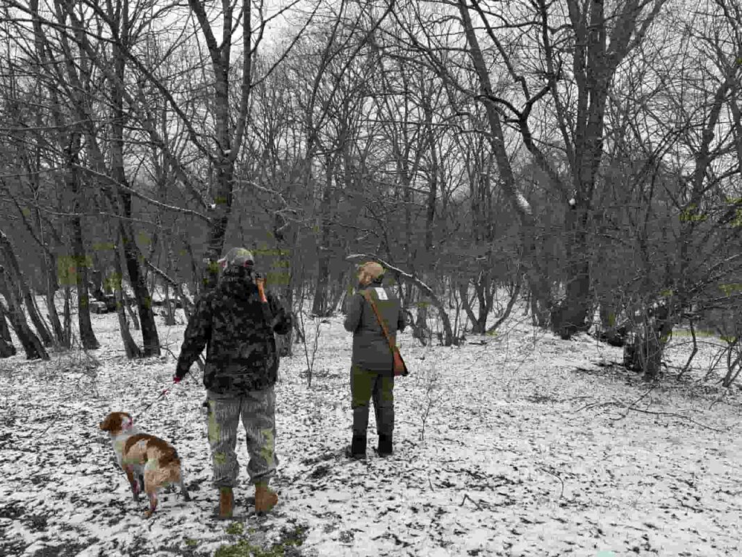 Georgia: Hunting is prohibited by Ministry of Environment Protection and and agriculture credit: facebook