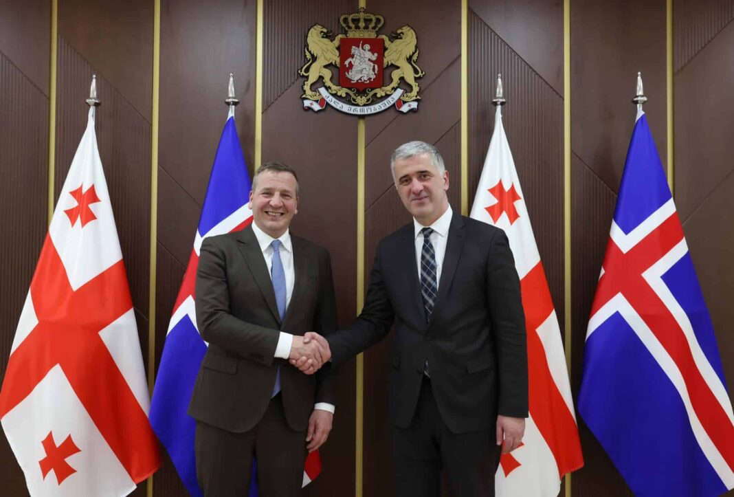 Georgian minister Otar Shamugia meets counterpart from Iceland credit: facebook/MEPA