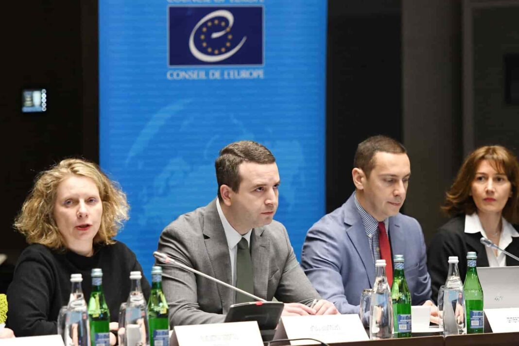 Koka Katsitadze addresses Council of Europe project credit: facebook