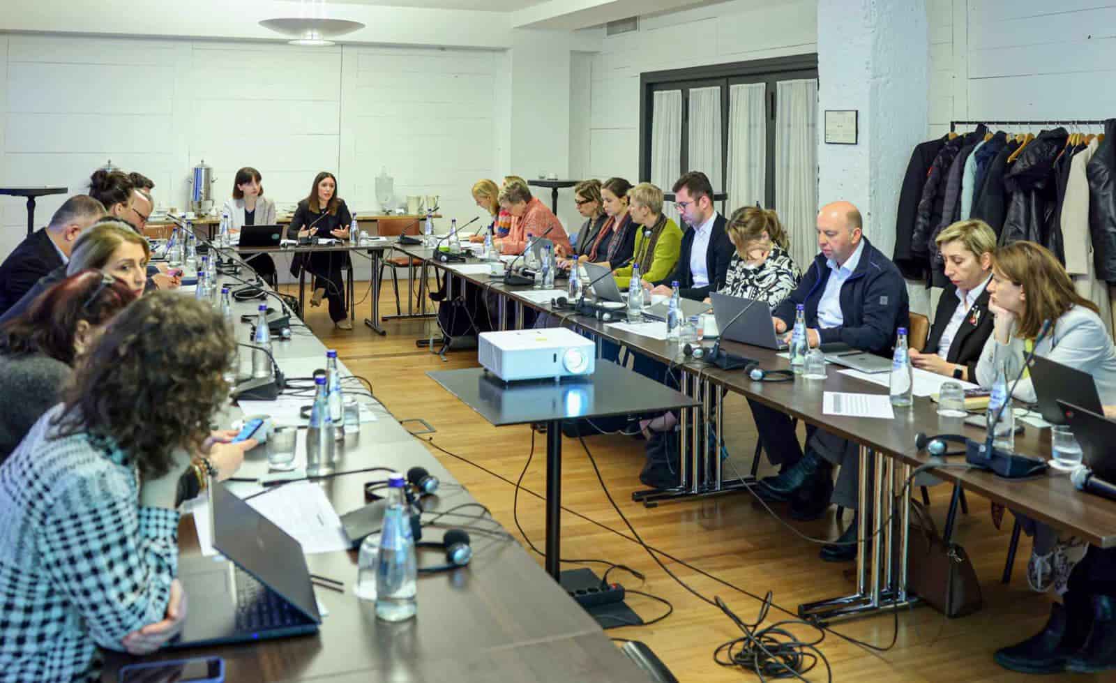 Nino Tandilashvili attends meeting of steering committee credit: facebook/mepa
