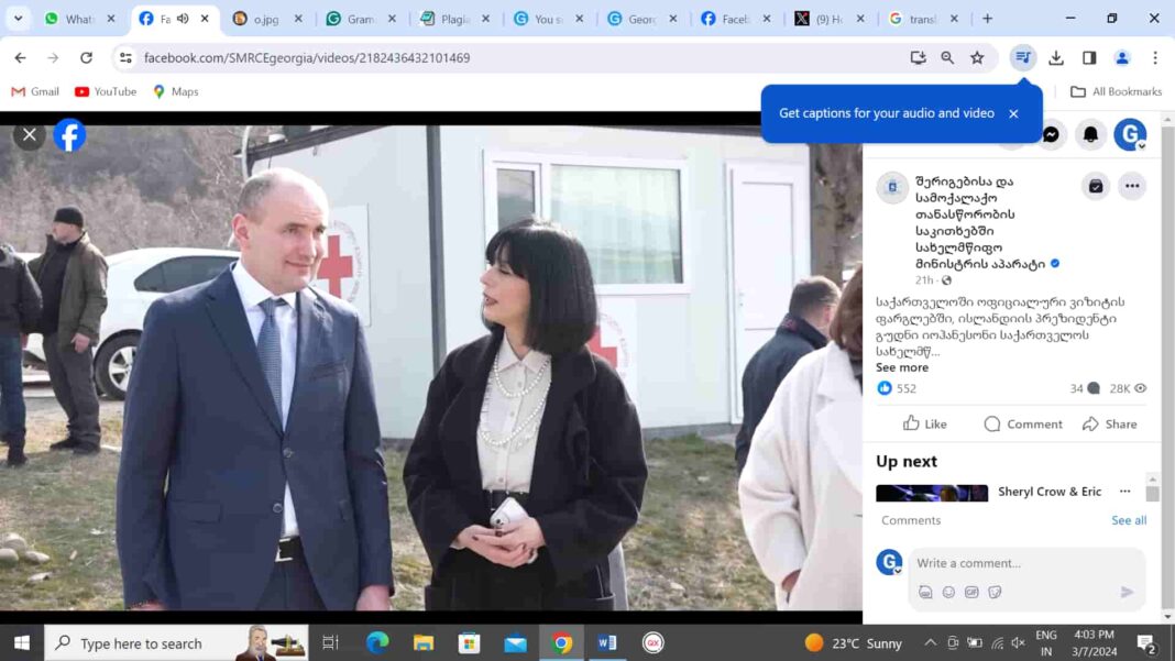 Iceland PM meets Georgian State Minister Tea Akhvlediani