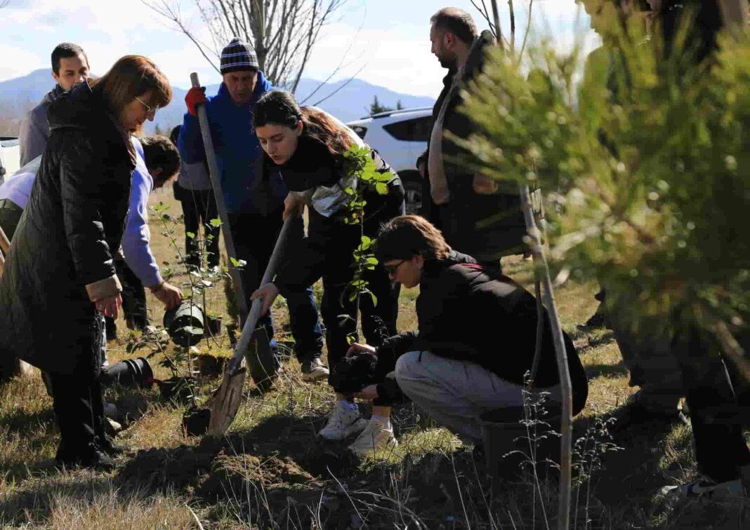 SRCA celebrates International Forest Day on March 21