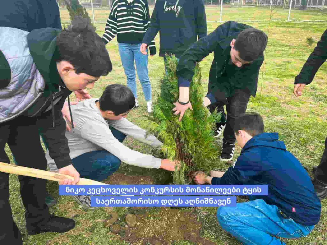 Participants of Niko Ketskhoveli's contest celebrate International Forest Day