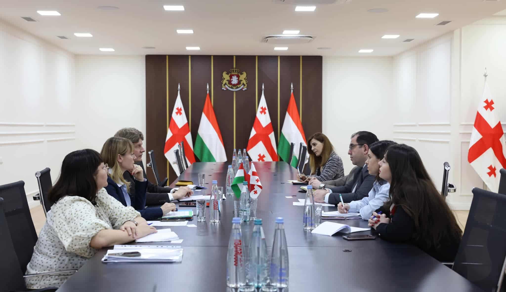 Tengiz Nasaridze meets Deputy Secretary of State for EU Policy