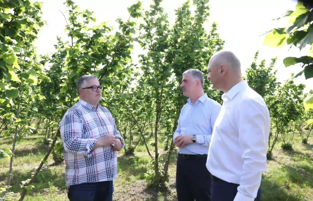 Otar Shamugia visits nut garden built by Georgian-Jewish investment