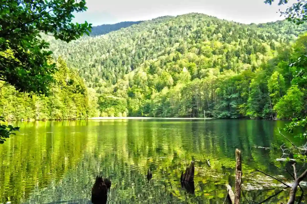 Hiking club-Ronin offers best packages for nature lovers to explore Dzama Valley credit: Facebook/ronin hiking Club