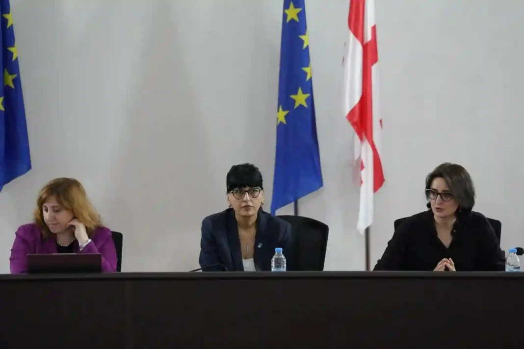 Dusheti Municipality hosts meeting to discuss Personal Assistant's Service