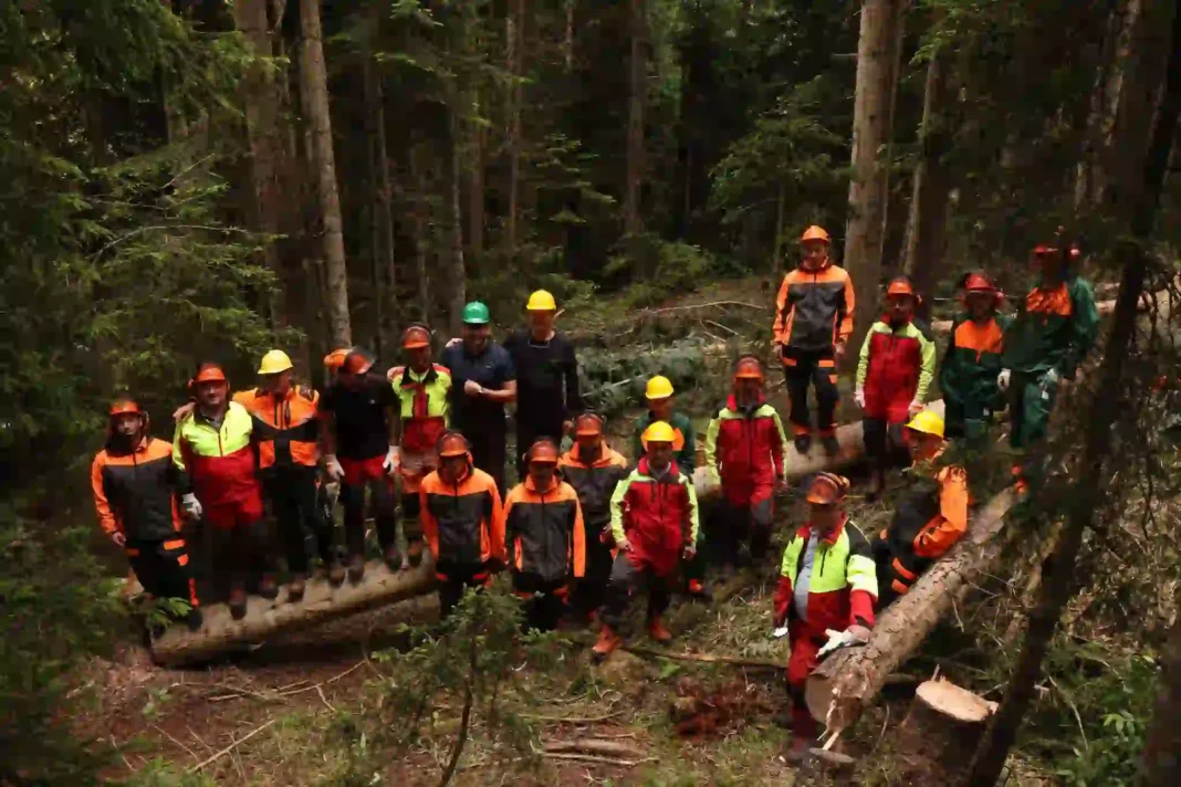 Georgian NFA uses Slovenian method for safe work in forests