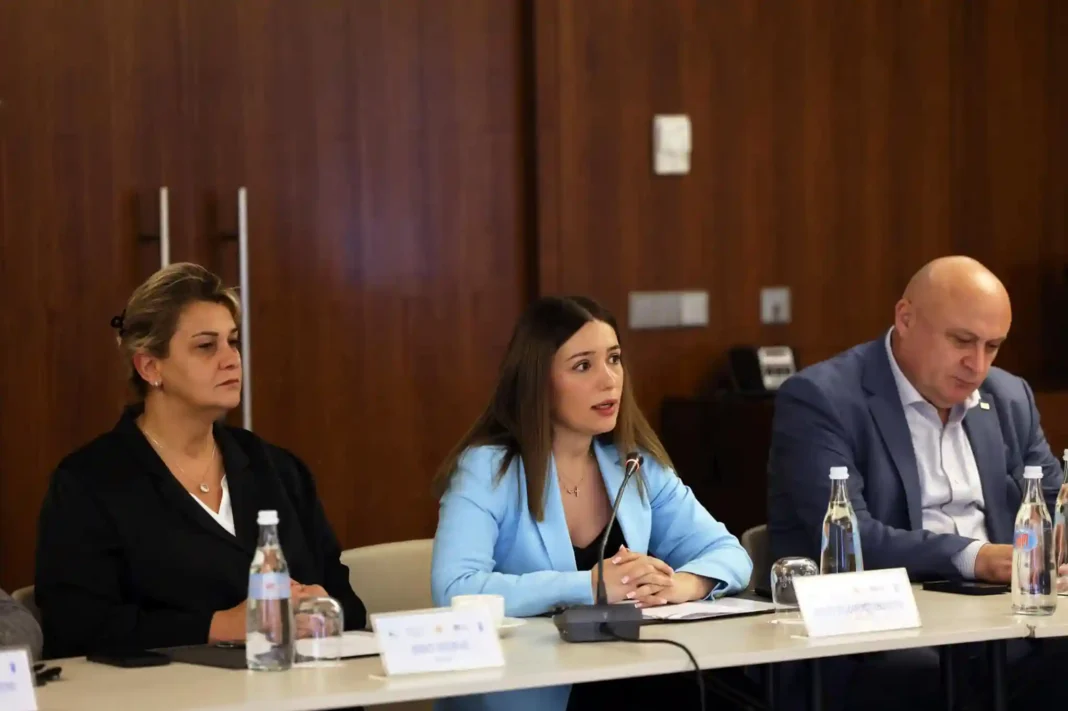 Nino Tandilashvili hosts permanent meeting