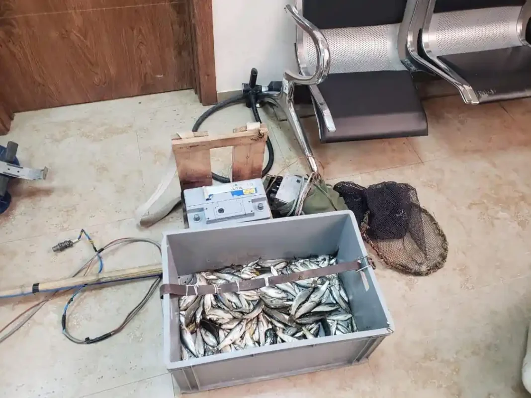 Georgian Environment Ministry identified 332 facts of illegal fishing