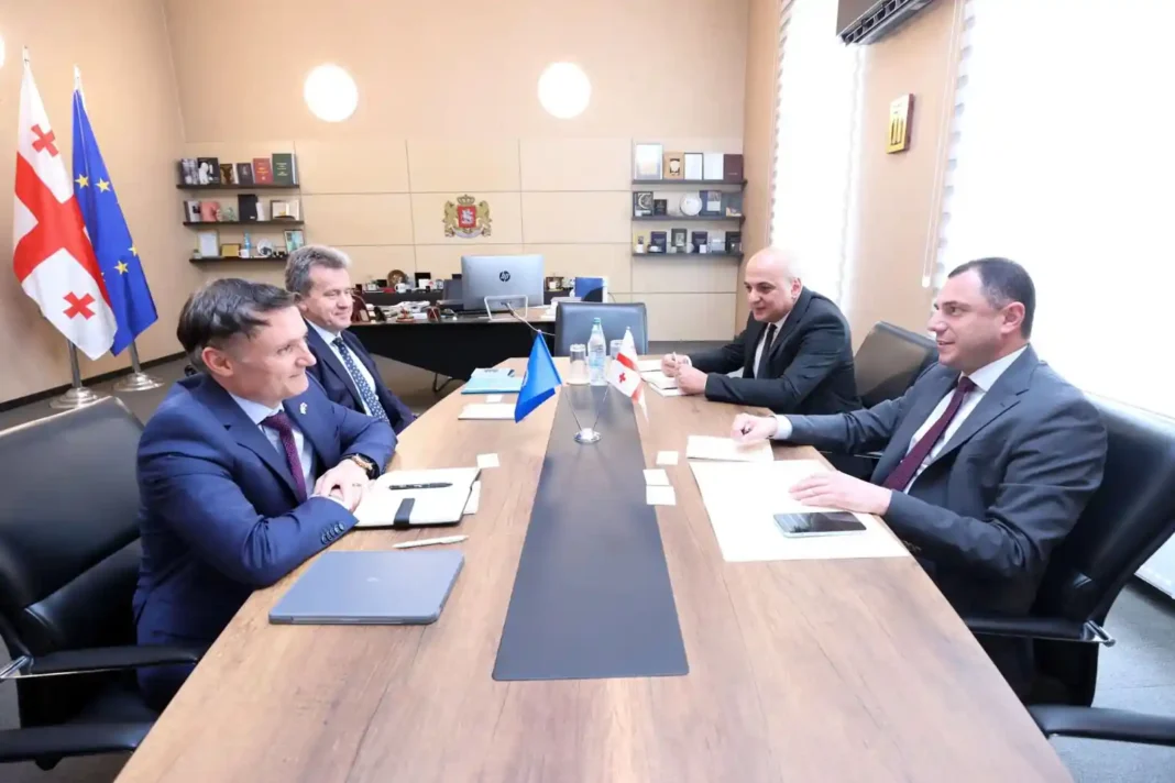 Georgian Minister Giorgi Amilakhvari meets  Dider Trebucq credit: Facebook/eduation ministry